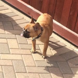 Meet your Posher, Melly